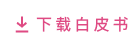 下载白皮书